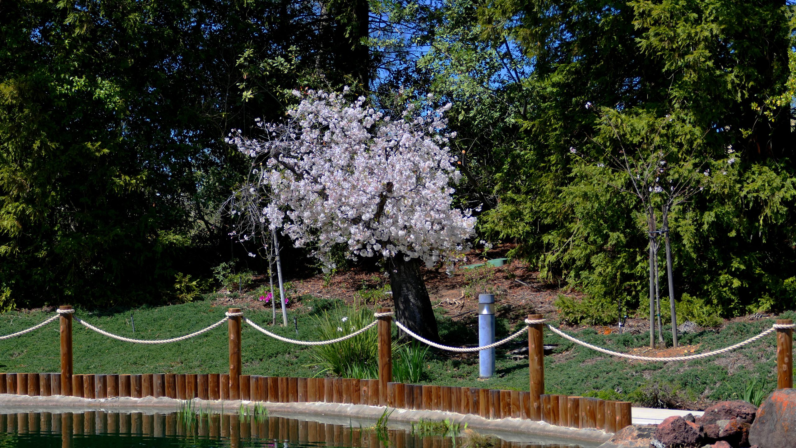 May 4